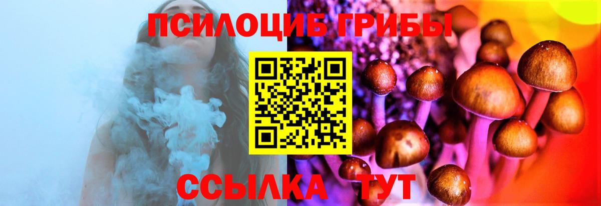 Новый Уренгой  Псилоцибиновые грибы мицелий  Галлюциногенные грибы ЛСД  Вход с VPN 